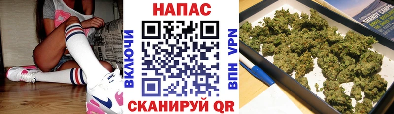 Канабис сатива Вышний Волочёк